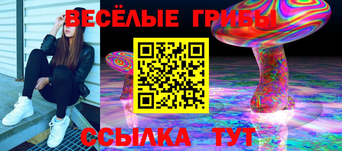 как найти закладки  Вход с VPN  Азов  Галлюциногенные грибы ЛСД 