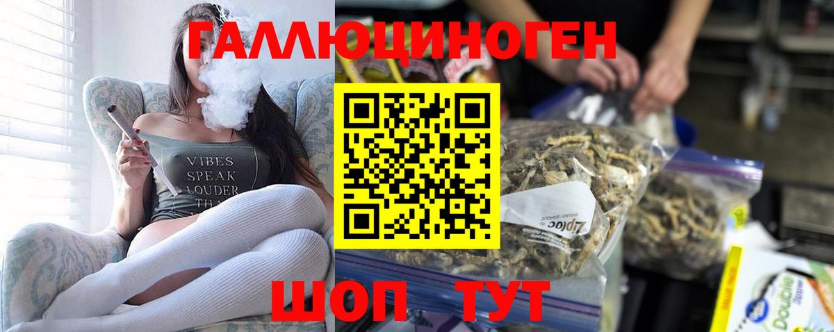 Псилоцибиновые грибы Psilocybine cubensis Азов